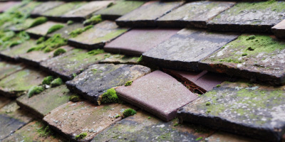Piddinghoe roof repair costs